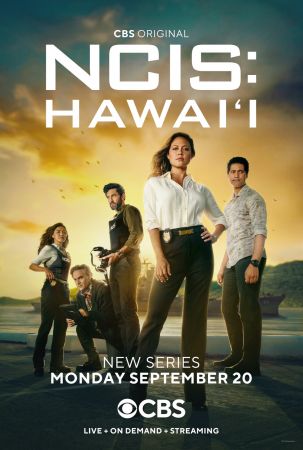 NCIS Hawaii S01E19 720p HEVC x265-MeGusta