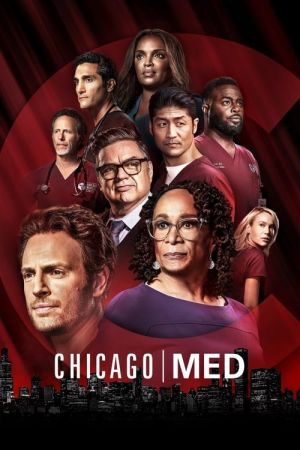 Chicago Med S07E17 720p HEVC x265-MeGusta