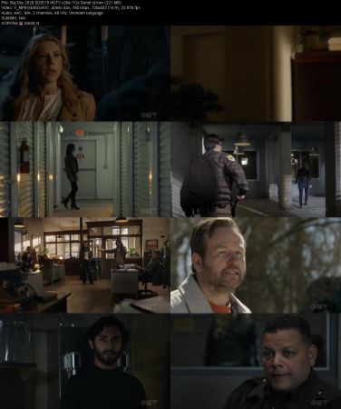Big Sky 2020 S02E15 HDTV x264-TGx