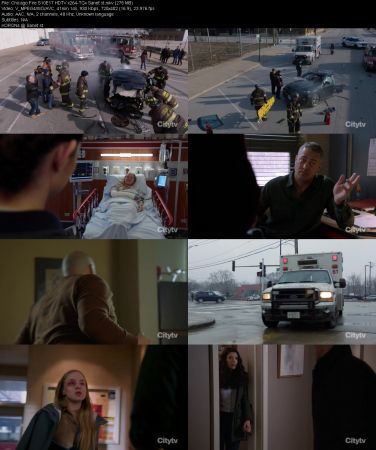 Chicago Fire S10E17 HDTV x264-TGx