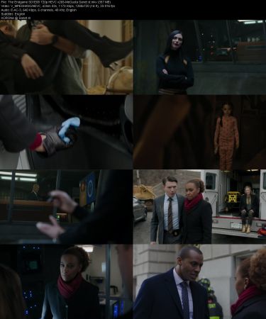 The Endgame S01E08 720p HEVC x265-MeGusta