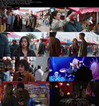Walker S02E14 HDTV x264-TGx