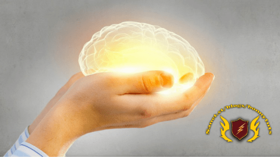 Start Low Investment Knowledge Business End2End Expert Guide