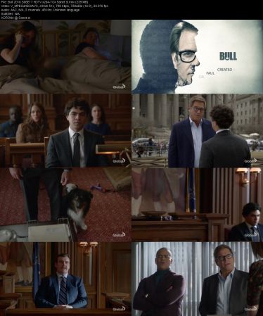 Bull 2016 S06E17 HDTV x264-TGx