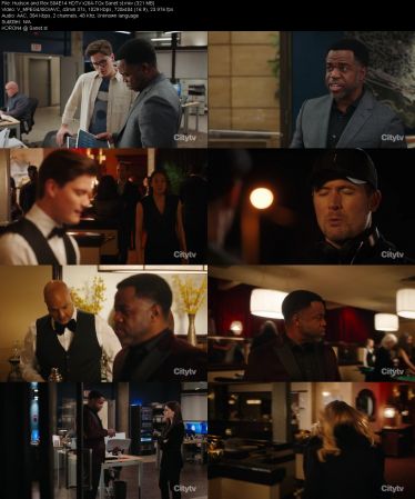 Hudson and Rex S04E14 HDTV x264-TGx