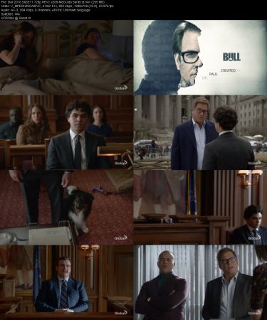 Bull 2016 S06E17 720p HEVC x265-MeGusta