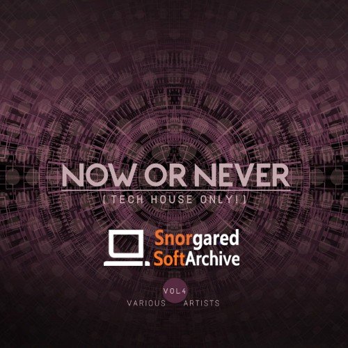 VA - Now Or Never, Vol. 4 (Tech House ONLY!) (2022)