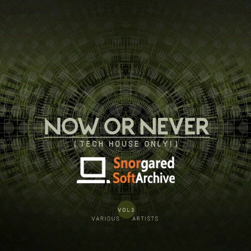 VA - Now Or Never, Vol. 3 (Tech House ONLY!) (2022)