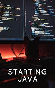 Starting Java by Rita Houston