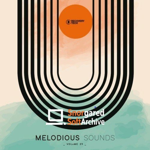 VA - Melodious Sounds, Vol. 29 (2022)