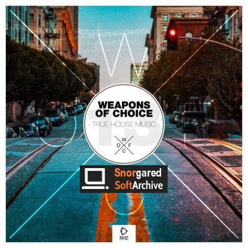 VA - Weapons of Choice - True House Music, Vol. 13 (2022)