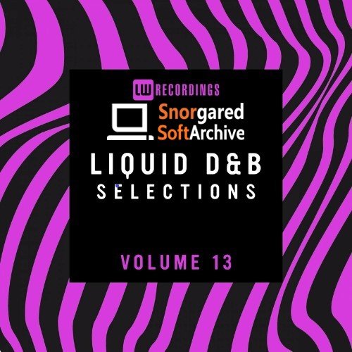 VA - Liquid Drum &amp; Bass Selections, Vol. 13 (2022)