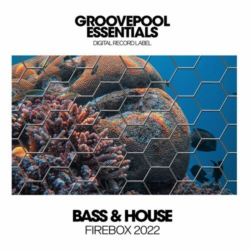 VA - Bass &amp; House Firebox 2022 (2022)