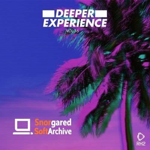 VA - Deeper Experience, Vol. 36 (2022)