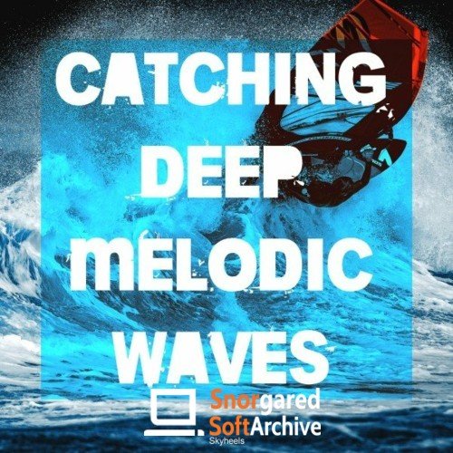 VA - Catching Deep Melodic Waves (2022)