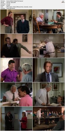 Matlock S09 DVDRip XviD-NOGRP