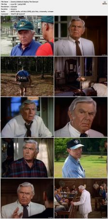 Matlock S09 DVDRip XviD-NOGRP