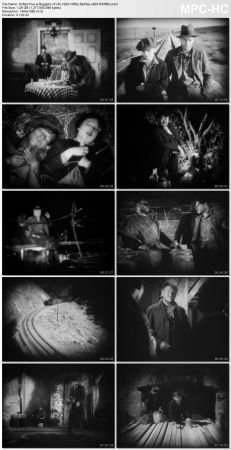 Beggars of Life 1928 1080p BluRay x265-RARBG
