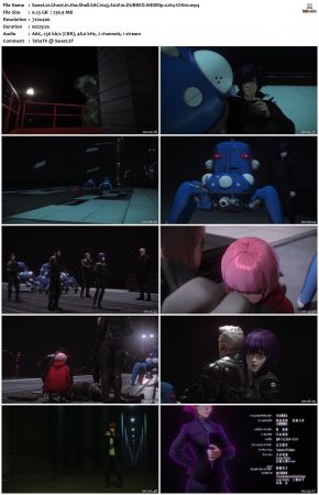 Ghost in the Shell SAC.2045 S02 DUBBED WEBRip x264-ION10