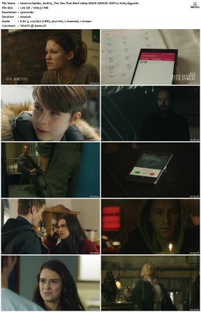 Spides 2020 S01 1080p AMZN WEB-DL DDP2 0 H265-d3g