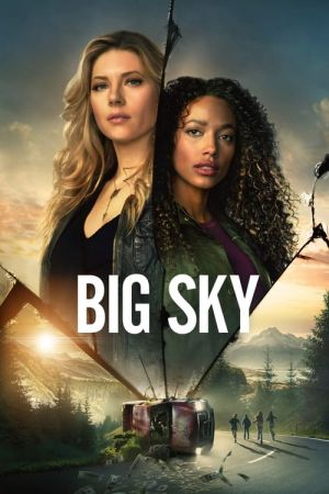 Big Sky 2020 S02E16 HDTV x264-TGx