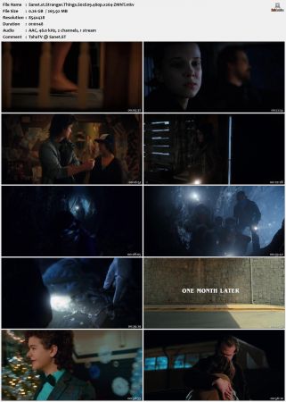 Stranger Things S02 480p x264-ZMNT