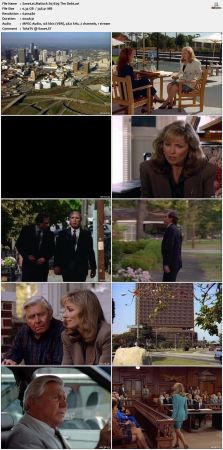 Matlock S07 DVDRip XviD-NOGRP