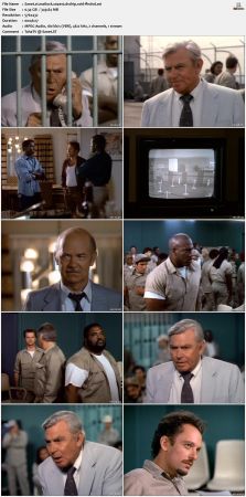Matlock S04 DVDRip XviD-FFNDVD
