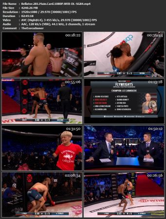 Bellator 281 Full Event 1080p WEB DL-SG84