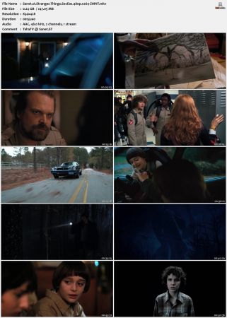 Stranger Things S02 480p x264-ZMNT