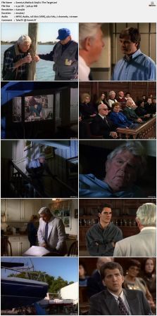 Matlock S09 DVDRip XviD-NOGRP