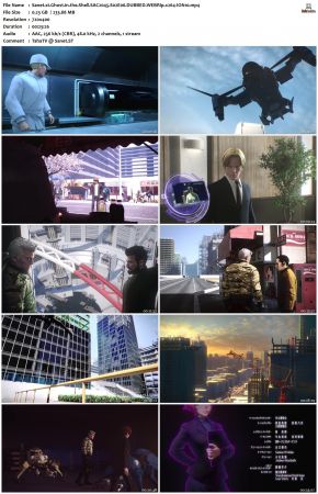 Ghost in the Shell SAC.2045 S02 DUBBED WEBRip x264-ION10