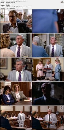Matlock S02 DVDRip XviD-WIDE
