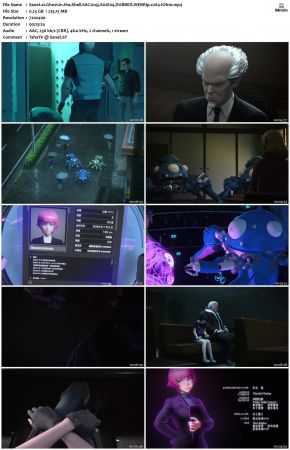 Ghost in the Shell SAC.2045 S02 DUBBED WEBRip x264-ION10