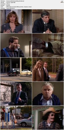 Matlock S08 DVDRip XviD-OSiTV