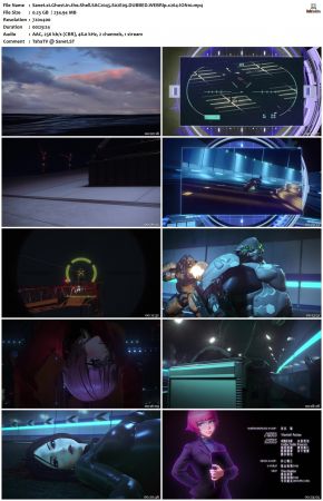 Ghost in the Shell SAC.2045 S02 DUBBED WEBRip x264-ION10