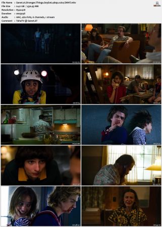 Stranger Things S03 480p x264-ZMNT