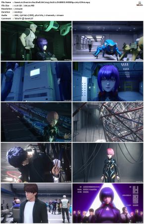 Ghost in the Shell SAC.2045 S02 DUBBED WEBRip x264-ION10