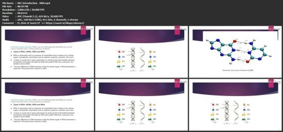 Rna Structure Detailed Concept