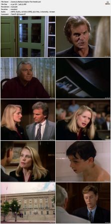 Matlock S09 DVDRip XviD-NOGRP