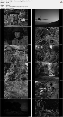 Objective Burma 1945 1080p BluRay x264-OFT