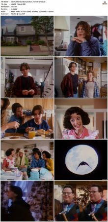 Eerie Indiana S01 DVDRip XviD-NOGRP