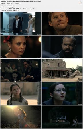 Westworld S01 1080p BluRay x265-RARBG