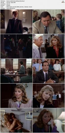 Matlock S08 DVDRip XviD-OSiTV