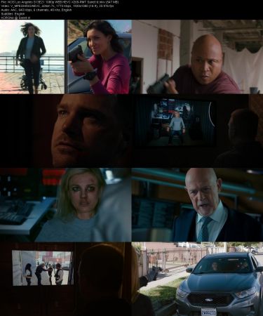 NCIS Los Angeles S13E21 1080p WEB HEVC X265-RMT