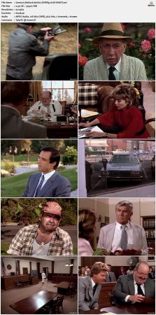 Matlock S01 DVDRip XviD-SAiNTS