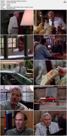 Matlock S06 DVDRip XviD-OSiTV