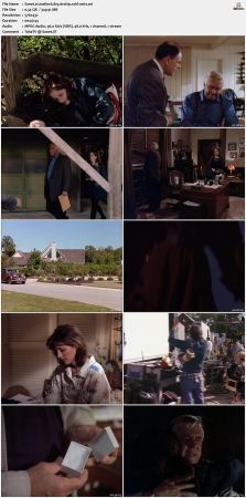 Matlock S08 DVDRip XviD-OSiTV