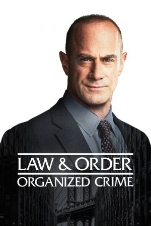 Law and Order Organized Crime S02E20 HDTV x264-TGx