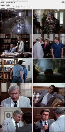 Matlock S01 DVDRip XviD-SAiNTS